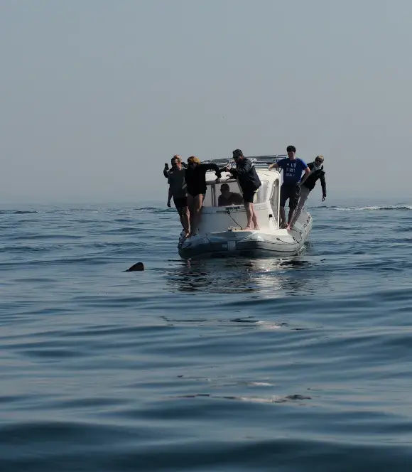 Photo Observateurs de la vie marine