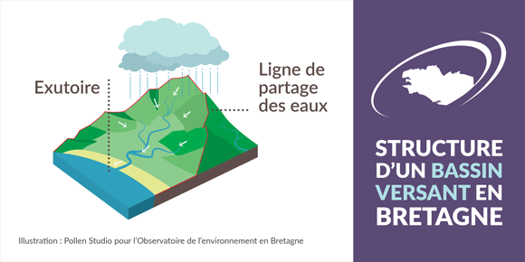 Infographie Structure d'un bassin versant en Bretagne
