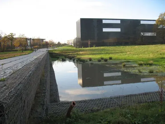 Photo Noue collectant l'eau de pluie par ruissellement dans le quartier de Beauregard à Rennes