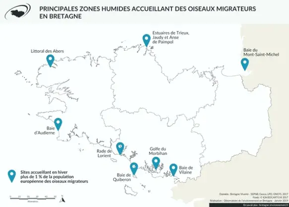 Carte Principales zones humides en Bretagne accueillant des oiseaux migrateurs