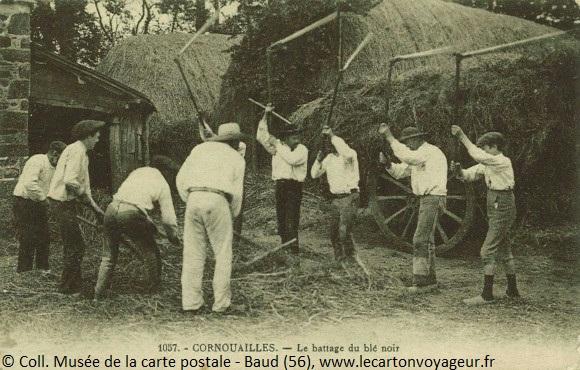 Carte postale ancienne - Battage du blé noir