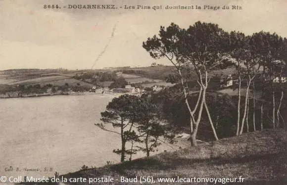 Carte postale ancienne - Douarnenez