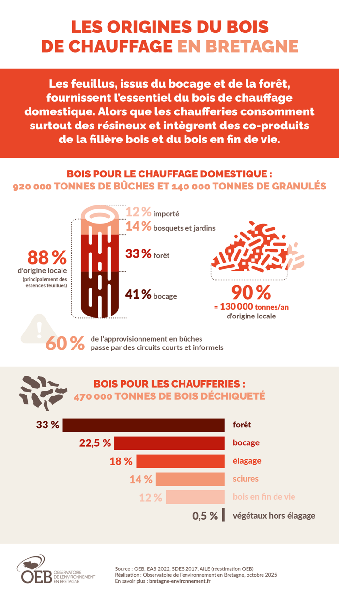 Infographie Les origines du bois de chauffage en Bretagne