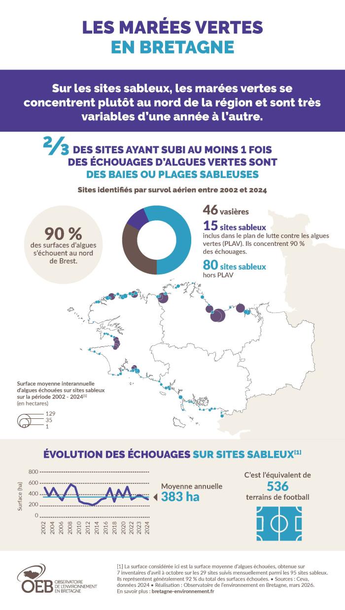 Infographie sur les algues vertes en Bretagne