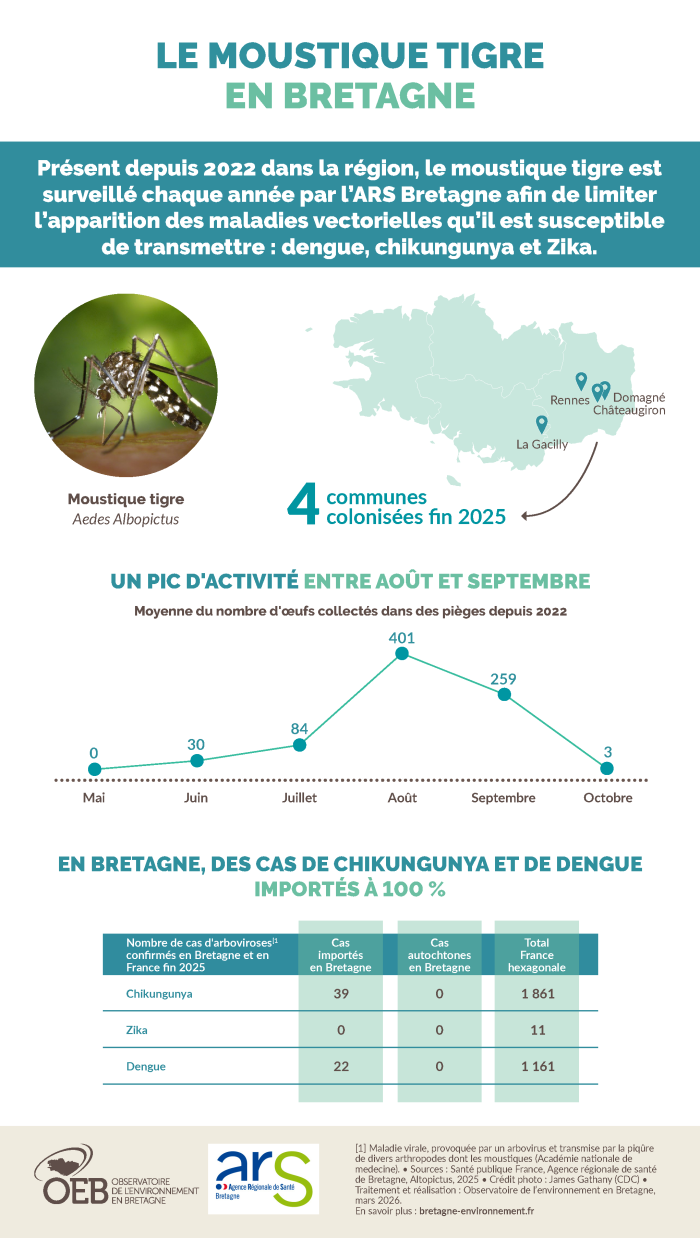 infographie moustique tigre en Bretagne 2026