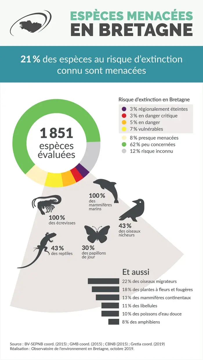 Infographie Espèces menacées en Bretagne
