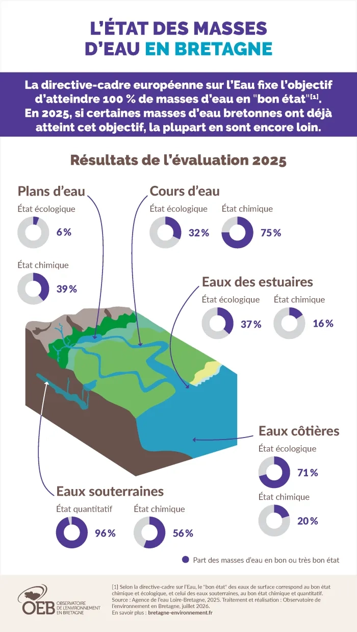 infographie état des masses d'eau en Bretagne
