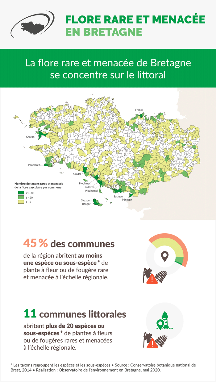 Infographie Flore rare et menacée en Bretagne