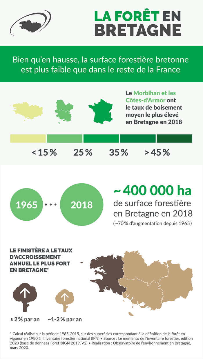 Infographie La forêt en Bretagne