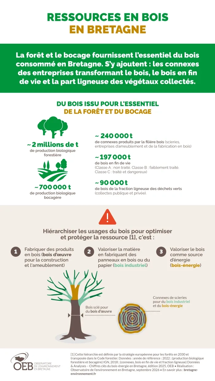 infographie ressources en bois en Bretagne