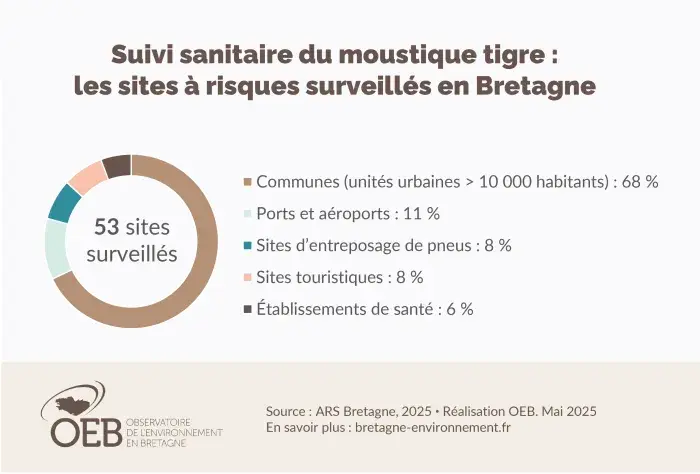 Suivi sanitaire du moustique tigre : les sites à risques surveillés en Bretagne