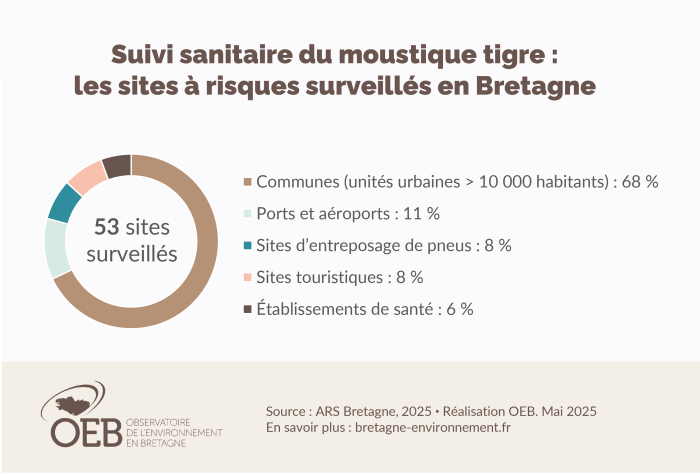 Suivi sanitaire du moustique tigre : les sites à risques surveillés en Bretagne