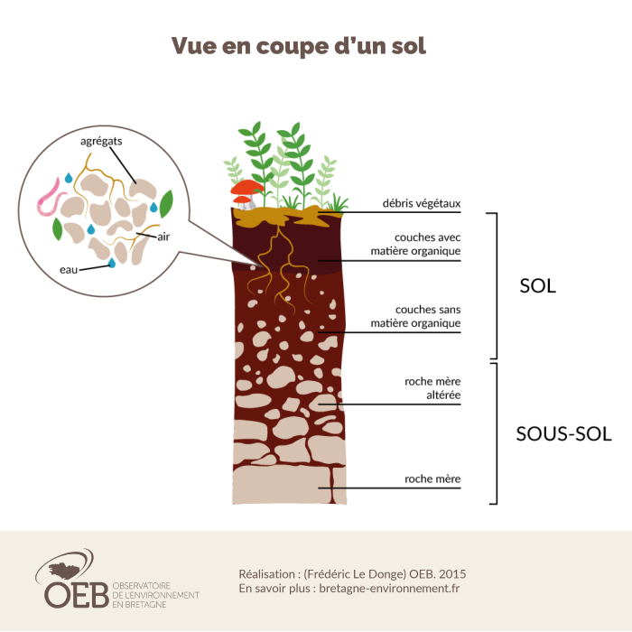 Schéma : Vue en coupe d'un sol