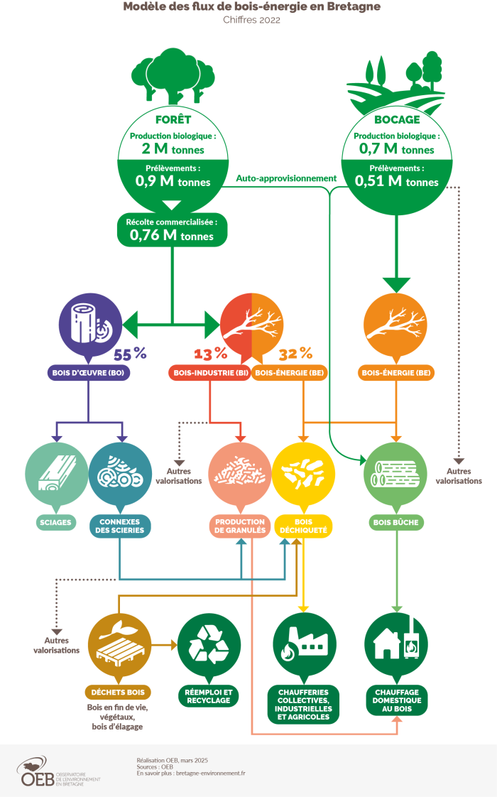 Infographie du flux de bois-énergie en Bretagne