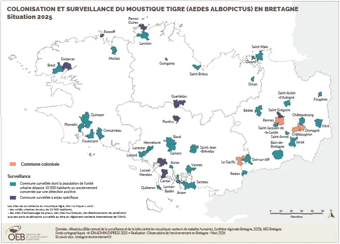 Carte : Surveillance du moustique tigre en Bretagne 