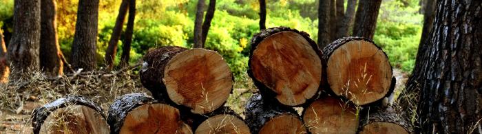 Photo Coupe de bois bûche