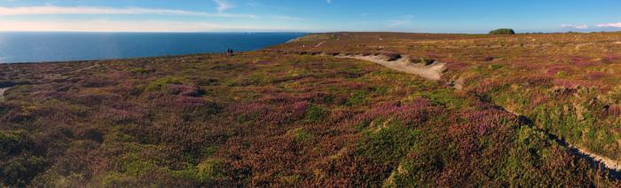 Photo Les landes de la pointe de Pen-Hir