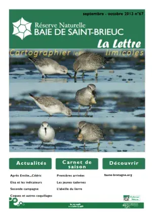 couv La Lettre, Réserve naturelle de la baie de Saint-Brieuc n°67 - Cartographier les limicoles
