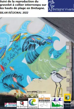 couv Suivi de la reproduction du Gravelot à collier interrompu en Bretagne. Bilan régional 2022