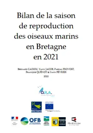 couv Bilan de la saison de reproduction des oiseaux marins en Bretagne en 2021