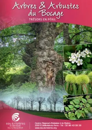 couv Les petits livrets d'Eau et rivières de Bretagne