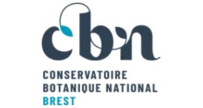 logo cbnb