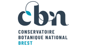 logo cbnb