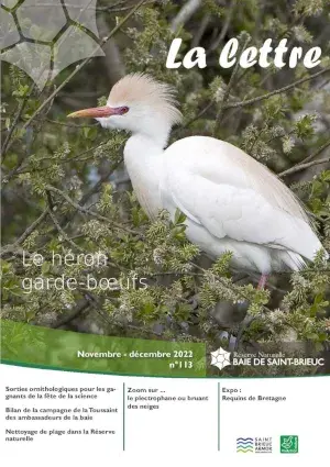 couv La Lettre, Réserve naturelle de la baie de Saint-Brieuc n°113 - Le héron garde-boeufs
