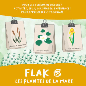 couv Flak - Les plantes de la mare