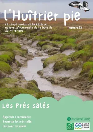couv L'huîtrier pie n°63 - Les près salés
