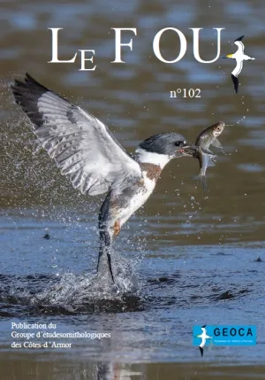 couv Le Fou - n°102