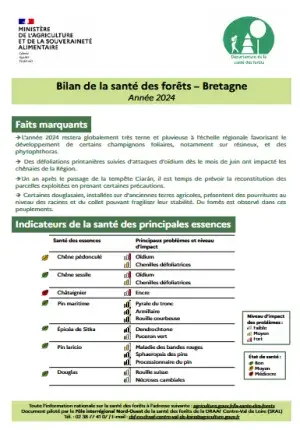 couv Bilan de la santé des forêts en Bretagne 2024