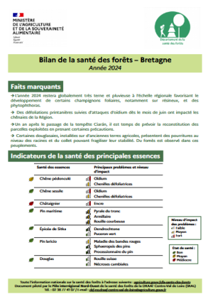 couv Bilan de la santé des forêts en Bretagne 2024