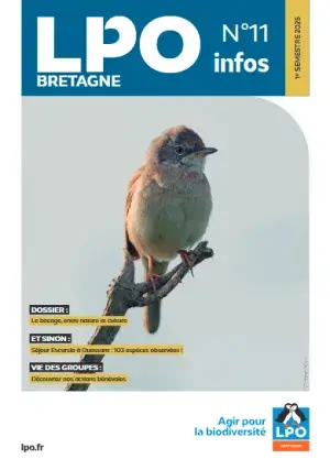 couv LPO Info Bretagne n°11
