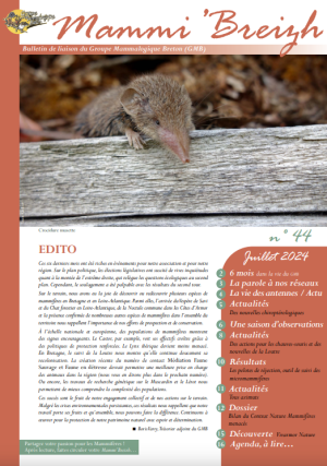 couv Mammi' Breizh n°44