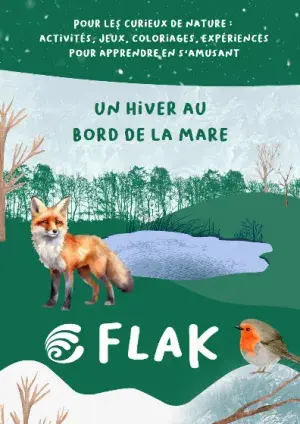 couv Flak - Un hiver au bord de la mare