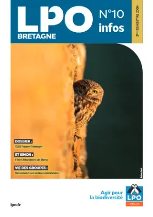 couv LPO Info Bretagne n°10
