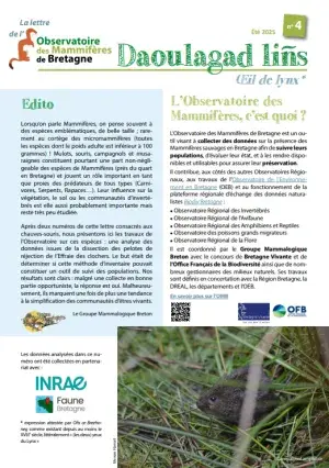 couv Daoulagad lins n°4