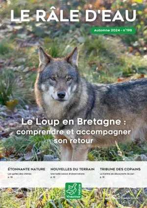 couv Le Râle d'eau n°198