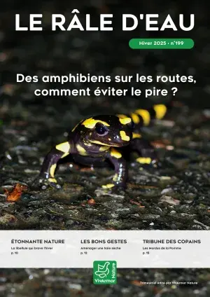 Couv Le Râle d'eau n°199 - Les amphibiens sur les routes, comment éviter le pire ?