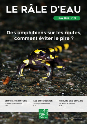 Couv Le Râle d'eau n°199 - Les amphibiens sur les routes, comment éviter le pire ?