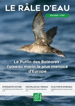 couv Le Râle d'eau n°201 - Le Puffin des Baléares : l’oiseau marin le plus menacé d’Europe