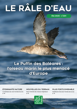 couv Le Râle d'eau n°201 - Le Puffin des Baléares : l’oiseau marin le plus menacé d’Europe
