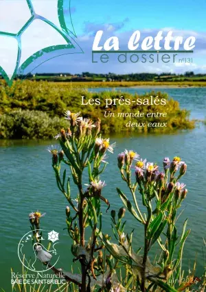 couv La lettre, Réserve naturelle de la baie de Saint-Brieuc n°131 - Les prés-salés un monde entre deux eaux