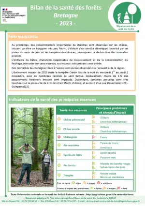 couv Bilan de la santé des forêts en Bretagne - 2023