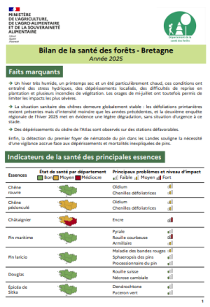 couv Bilan de la santé des forêts en Bretagne 2025