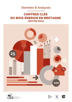 Couv Chiffres clés du bois-Énergie en Bretagne - édition 2025