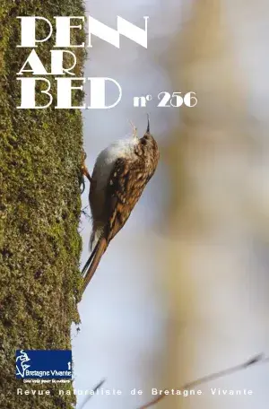 couv Penn ar Bed n°256