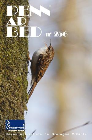 couv Penn ar Bed n°256