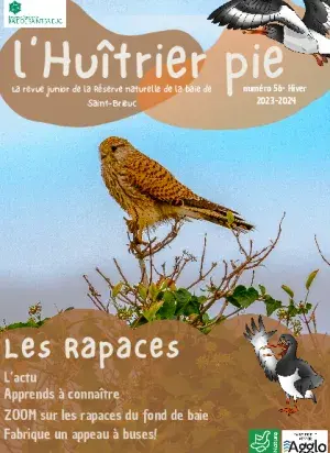 couv L'huîtrier pie n°56 - Les rapaces